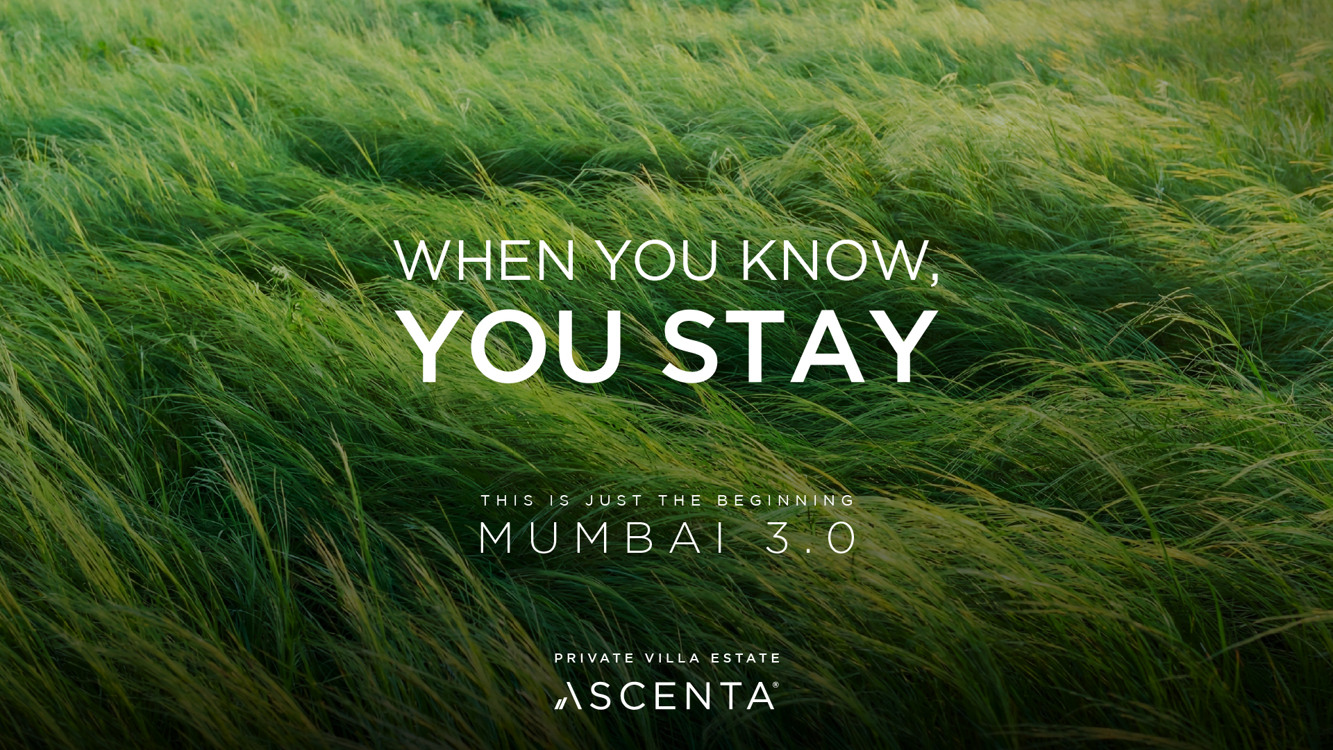 Close-up of nature at Basalt Karjat, a luxury gated plotted development by Ascenta Group in the Mumbai 3.0 corridor.